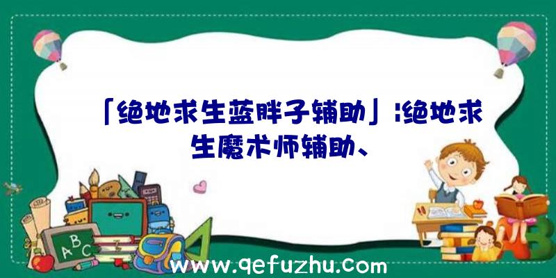 「绝地求生蓝胖子辅助」|绝地求生魔术师辅助、